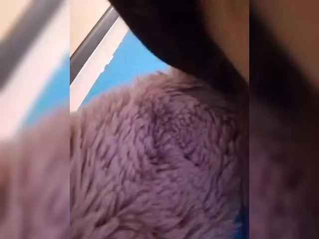 Bogina2 on BongaCams