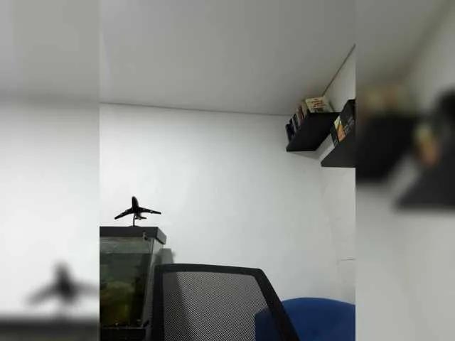 EvanShell1 on BongaCams