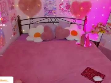 misasakurai on Chaturbate