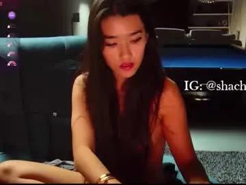 shachatte on Chaturbate