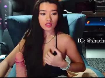 shachatte on Chaturbate