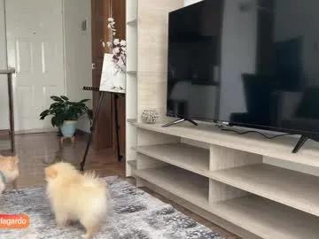 sweet_littleee on Chaturbate 